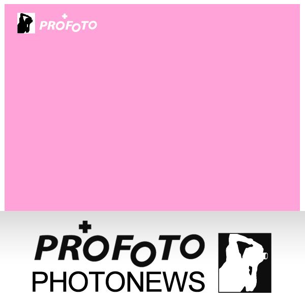 單色漸層紙1Kx2(369粉紅)攝影專用背景紙，美國進口攝影專用，網拍商品最適用免去背